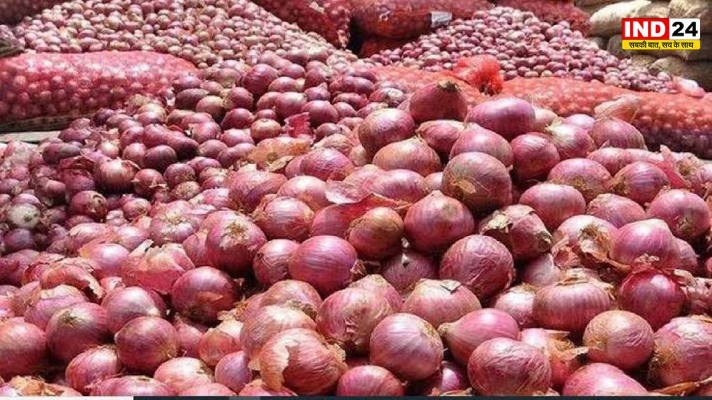 Onion Price: प्याज की कीमतों में गिरावट शुरू, नई फसल की आवक से नवंबर से पहले मिल सकती है राहत