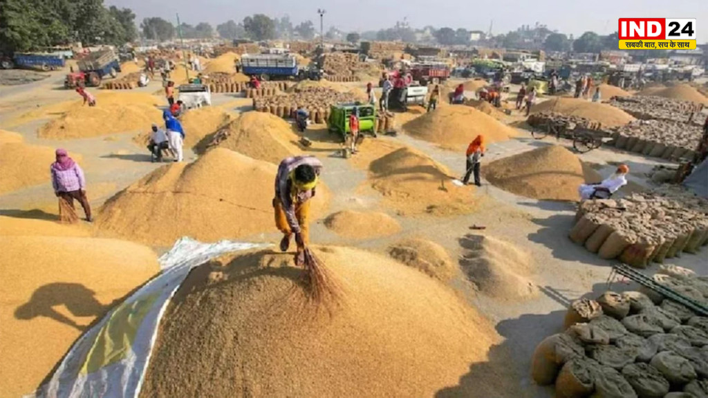 धान बेचने वाले किसानों के लिए जरूरी खबर, घर बैठे मिलेगा ऑनलाइन टोकन, 15 नवंबर से शुरू होगी खरीदी, जानें कितने एकड़ पर कितने टोकन मिलेंगे?