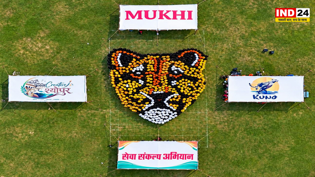 श्योपुर में 1,000 महिलाओं ने बनाई मादा चीता 'मुखी' की विशाल मानव रंगोली, CM डॉ.मोहन यादव ने की सराहना