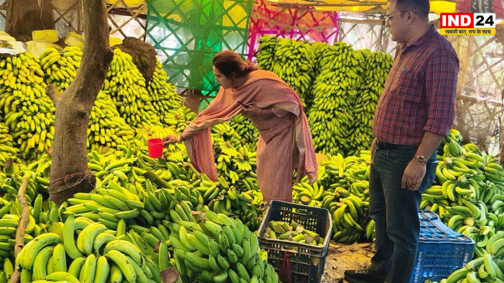 यूपी में बिना लाइसेंस चल रहे थे केले पकाने के 25 केंद्र, FSDA की जांच में खुलासा