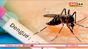 डेंगू का प्रकोप, हाईकोर्ट ने स्वास्थ्य विभाग के अफसरों को फटकारा