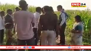 तहसीलदार ने युवक को मारा थप्पड़, वीडियो वायरल , कलेक्टर ने लिया संज्ञान