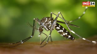 हरिद्वार में डेंगू का कहर जारी, स्वास्थ्य विभाग अलर्ट मोड पर 