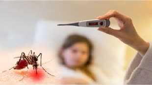 CG NEWS : छत्तीसगढ़ में आईफ्लू और डेंगू के बाद अब वायरल फीवर में बढाेत्‍तरी