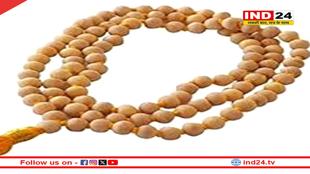 तुलसी माला पहनते समय ध्यान रखें ये बातें, मिलेगा शुभ फल