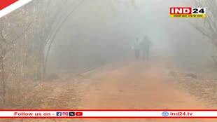 ठिठुरन की चपेट में प्रदेश, दतिया में 3 डिग्री से नीचे पहुंचा पारा 