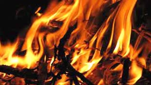 मध्यप्रदेश के दमोह में रस्सी बनाने की फैक्ट्री में लगी भीषण आग