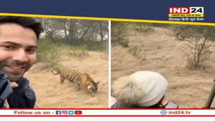 Last Day of 2022: अर्जुन-मलाइका राजस्थान में सेलिब्रेट करेंगे 31st नाइट, वरूण धवन कर रहें जंगल सफारी