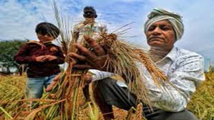 CG NEWS :  छत्तीसगढ़ के किसान, अब 16 अगस्त तक फसल का बीमा करवा सकते हैं