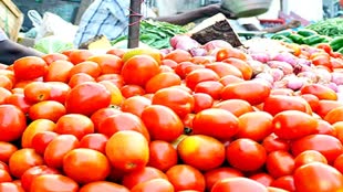 आम आदमी का बिगड़ा बजट, एमपी में आसमान छू रहे सब्जियों के दाम