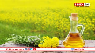 सर्दियों में रामबाण है सरसों का तेल, कई  बीमारियों से तुरंत मिलेगा फायदा