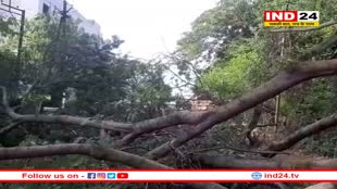 45 किमी की स्पीड से तेज आंधी के साथ बारिश की चेतावनी, ओलावृष्टि के भी आसार