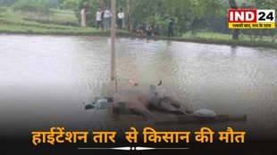 CG NEWS  :  बिजली विभाग की बड़ी लापरवाही, हाईटेंशन तार की चपेट में आने से किसान और 2 भैंस की मौत