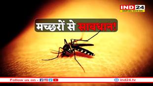 मच्छरों से सावधान! डेंगू से ज्यादा सामने आ रहे चिकनगुनिया के केस