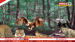 एमपी को मिला एक और वाइल्ड लाइफ सेंचुरी, इस नाम से जाना जाएगा