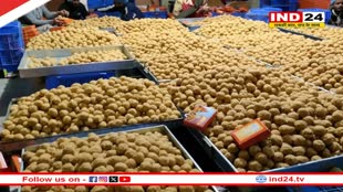  CM Dr. Mohan Yadav ने किया बड़ा एलान, अयोध्या में बंटेगा महाकाल का प्रसाद 