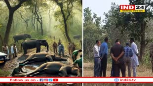 10 हाथियों की मौत के बाद वन मंत्री और अधिकारी पहुंचे बांधवगढ़