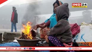 Weather News: मध्यप्रदेश में ठंड का सितम जारी, राज्य में जल्द एक्टिव होगा लेटेस्ट वेदर सिस्टम 