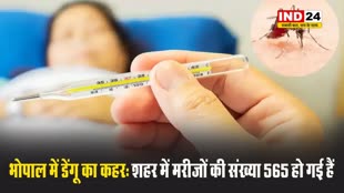 भोपाल में डेंगू का कहर: शहर में मरीजों की संख्या 565 हो गई हैं