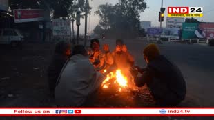 मध्य प्रदेश में अगले 48 घंटे 'भयंकर' ठंड की चेतावनी, IMD ने जारी की गाइडलाइंस