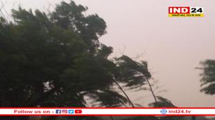 एमपी में ‘वेस्टर्न डिस्टर्बेंस’ की एंट्री, 8 जिलों में आंधी-बारिश का अलर्ट