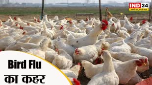 Bird Flu : कोविड के बीच केरल में बर्ड फ्लू का कहर