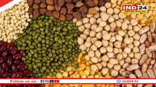 Indore में होगा दाल मिलों का एक्सपो, 2 फरवरी से होगा आयोजित