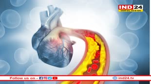81% भारतीयों की लिपिड प्रोफाइल खराब ! क्या है भारतीयों में हाई कोलेस्ट्रोल की वजह ?