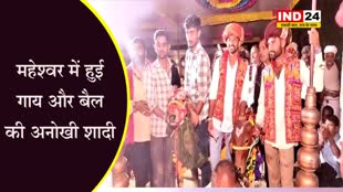  अनोखी शादी: गाय बनी दुल्हन, दूल्हा बना बैल, डीजे की धुन पर नाचते हुए पहुंचे हजारों बराती