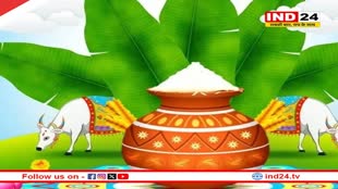 आज से शुरु हो रहा है पोंगल का त्योहार, हर दिन का अपना महत्व