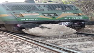 CG NEWS :  किरंदुल-कोट्टावालसा रेल लाइन में मालगाड़ी के इंजन पर गिरा बड़ा पत्थर, आवागमन बंद