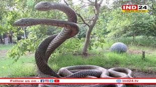 MP में बनेगा पहला हाईटेक ‘स्नेक पार्क’, एक जगह दिखेंगे 50 तरह के सांप