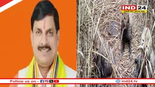 मुख्यमंत्री डॉ. मोहन यादव ने कूनो उद्यान में तीन शावकों के जन्म पर दी बधाई