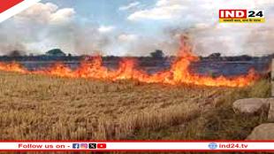 भोपाल में तीन महीने पराली जलाने पर रोक, उल्लंघन करने पर होगी कार्यवाही