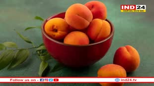 Apricot Benefits: शुगर कंट्रोल करने से लेकर आंखों की रोशनी बढ़ाने तक, खुबानी खाने के हैं ढेरों फायदे
