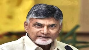 आंध्र प्रदेश के पूर्व सीएम चंद्रबाबू नायडू भ्रष्टाचार मामले में गिरफ्तार