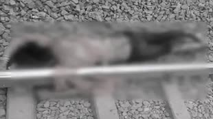 CG News : राजधानी में ट्रेन से गिरी थर्ड जेंडर,  हुई दर्दनाक मौत...