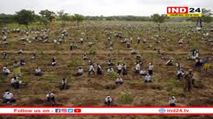 इंदौर में 7 से 14 जुलाई के बीच 51 लाख पौधारोपण करने का अभियान किया जाएगा शुरू