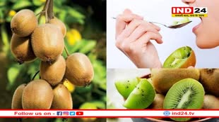 विटामिन C का अच्छा स्रोत है कीवी, दिल को भी रखता है दुरुस्त