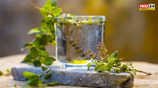 Tulsi Benefits : तुलसी के पत्ते आपकी हेल्थ के लिए वरदान , जानिए इसके फायदे