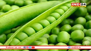 सर्दियों का सुपरफूड है हरी मटर