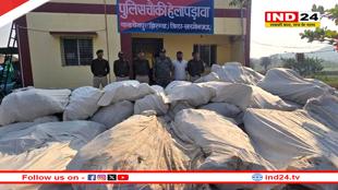 खरगोन पुलिस की बड़ी कार्रवाई, पहाड़ी क्षेत्र में अवैध गांजा खेती का भंडाफोड़