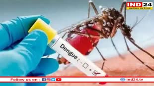 National Dengue Day 2023: मच्छरों के काटने से बचने के लिए इन 5 तरीकों को अपनाएं, मच्छर रहेंगे हमेशा दूर