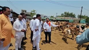 CG News : ‘मेरा गौठान मेरा अभिमान’ गौ माता की  श्रमदान कर की अभियान की शुरुआत