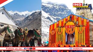 चारधाम यात्रा से पहले सरकार की चिंता बढ़ी, घोड़े-खच्चरों में इक्वाइन इन्फ्लुएंजा की पुष्टि