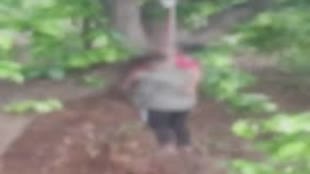 CG NEWS : बलरामपुर में नाबालिग प्रेमी जोड़े ने पेड़ पर लगाई फांसी शनिवार से लापता थे दोनो