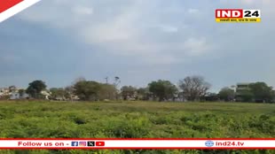Rajasthan Weather Update: प्रदेश में फिर बदला मौसम का मिजाज, 1 मार्च को 5 जिलों में ऑरेंज अलर्ट 