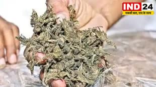 Raipur News : 01 किलो 800 ग्राम गांजा जब्त,गांजे के तस्करी कर रहे 1 तस्कर गिरफ्तार