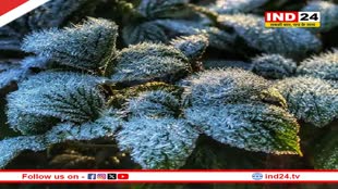 Rajasthan Weather Update: राजस्थान में लगातार तीसरे दिन जमी बर्फ, इन जिलों में कड़ाके की सर्दी, सीकर में ठंड ने तोड़ा 10 साल का रिकॉर्ड 