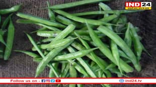 Cluster Beans Benefits: क्या आप भी ग्वार फली को करते हैं नापसंद, इसके लाभ जानकार रह जाएंगे हैरान